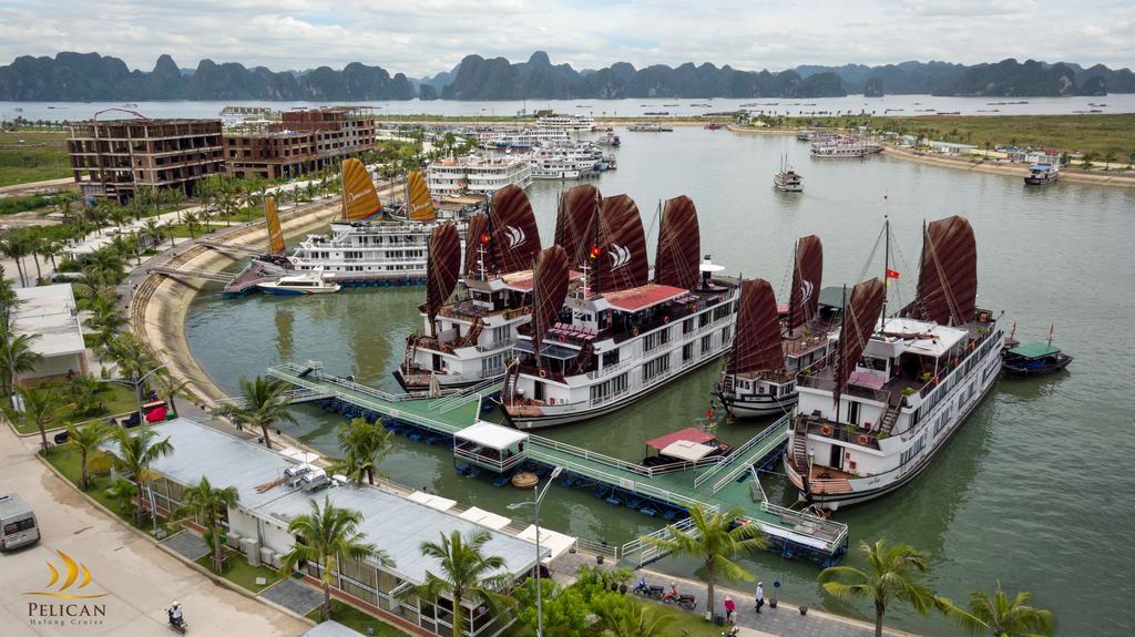 Pelican Classic Cruise 下龍 外观 照片