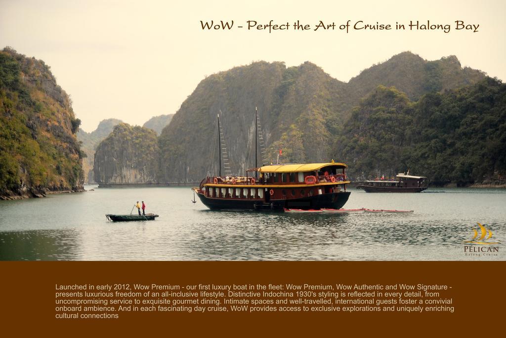 Pelican Classic Cruise 下龍 外观 照片