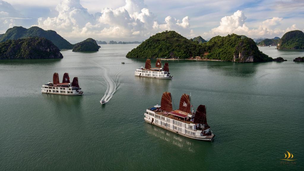 Pelican Classic Cruise 下龍 外观 照片