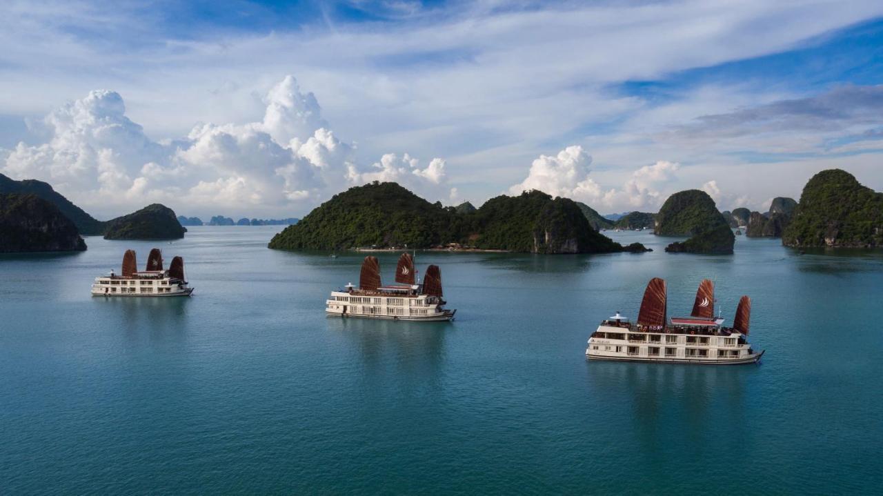 Pelican Classic Cruise 下龍 外观 照片